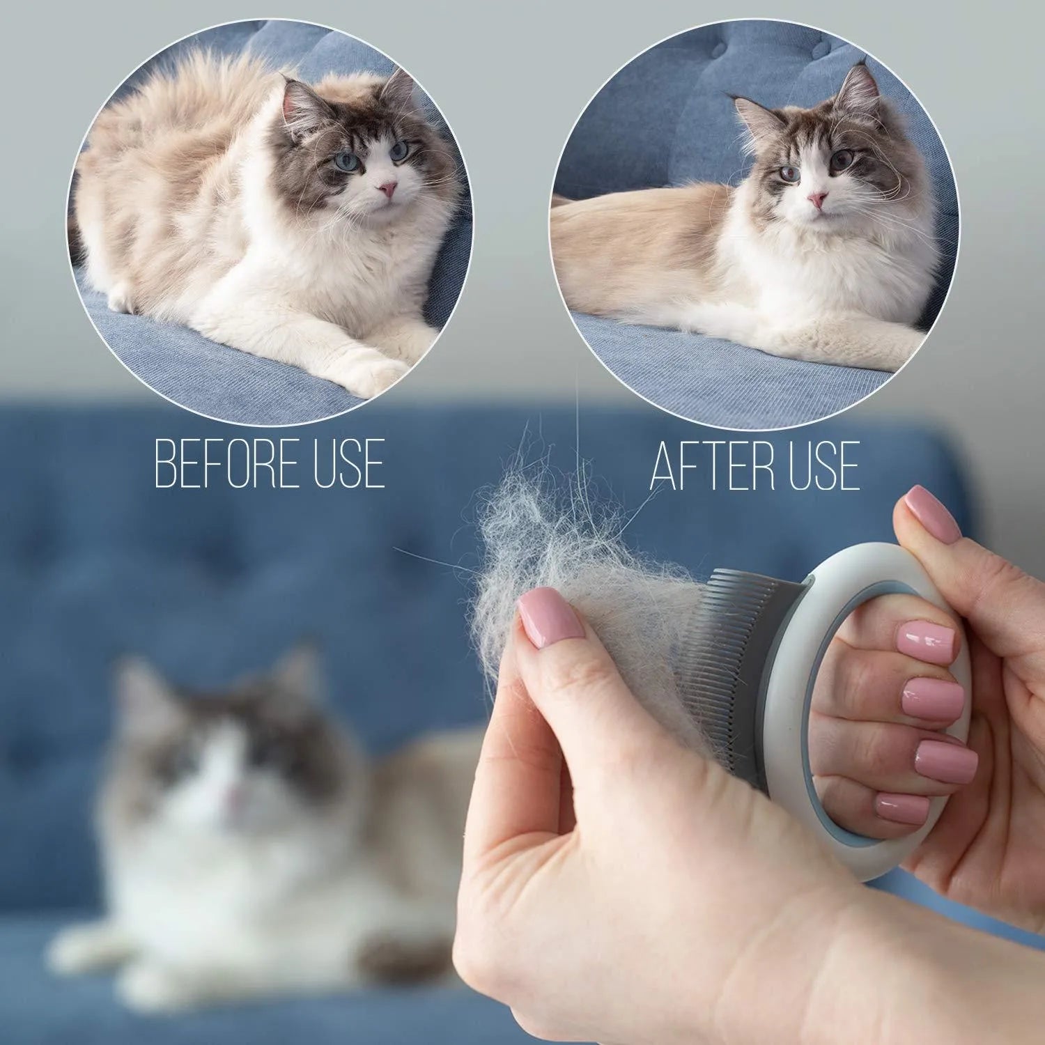 Blue pet grooming comb with soft teeth for cats and dogs on white background