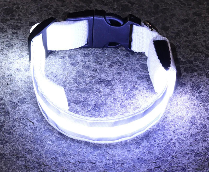 Anti-lost LED luminous dog collar on dog, nylon webbing, monochrome pattern