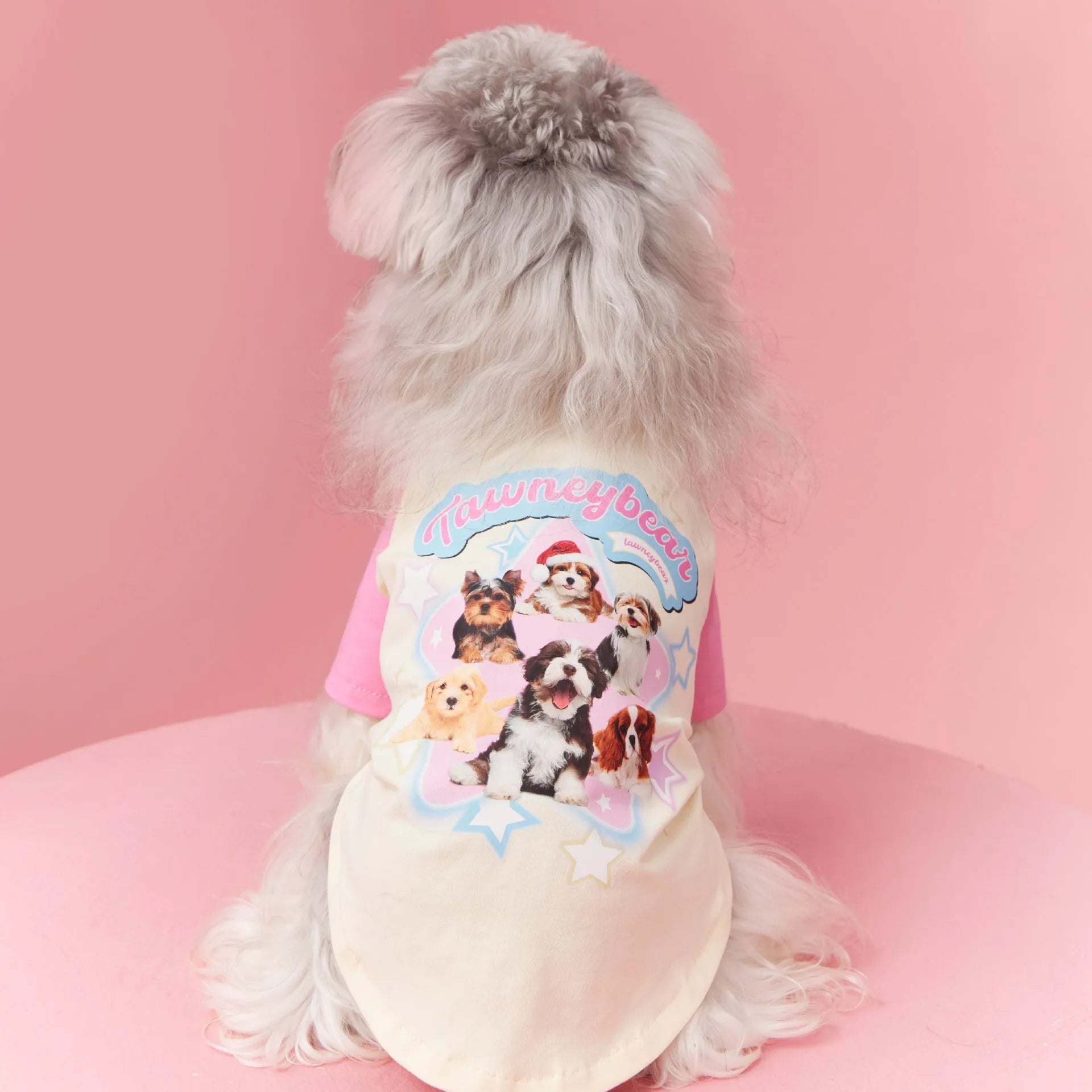 Red cotton dog t-shirt for summer on a small dog
