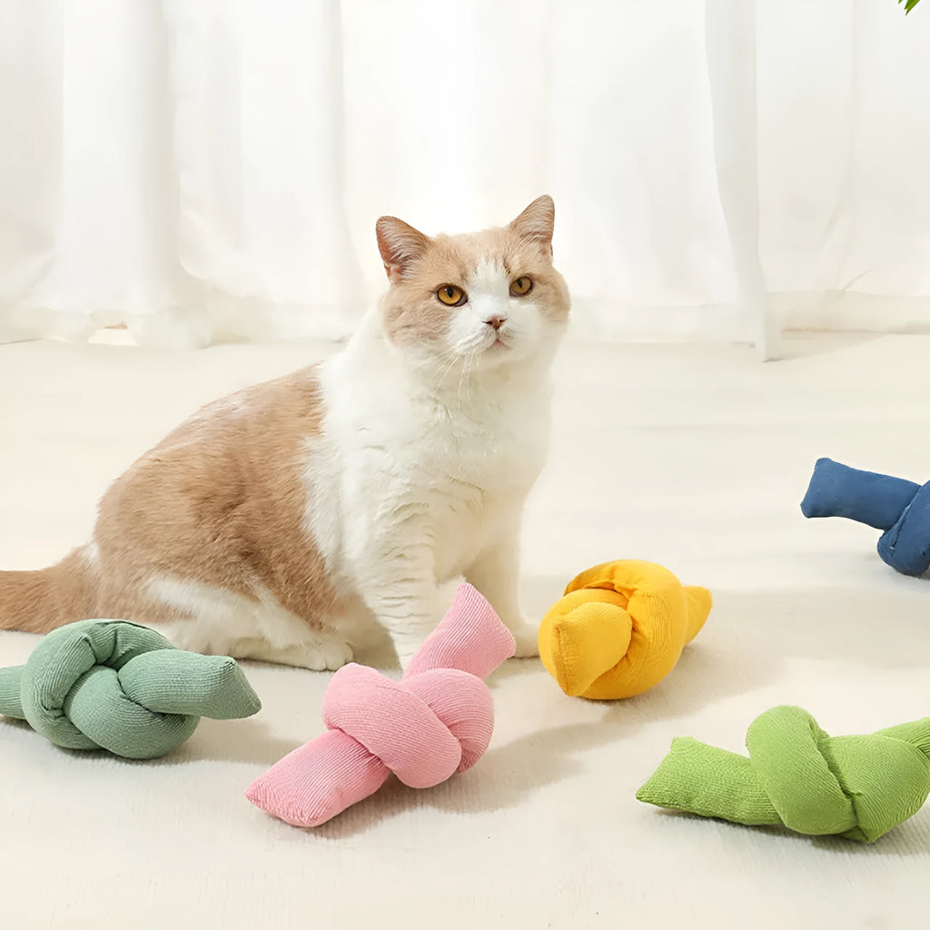 White natural cotton dog rope toy with multiple knots for tug-of-war play and dental flossing