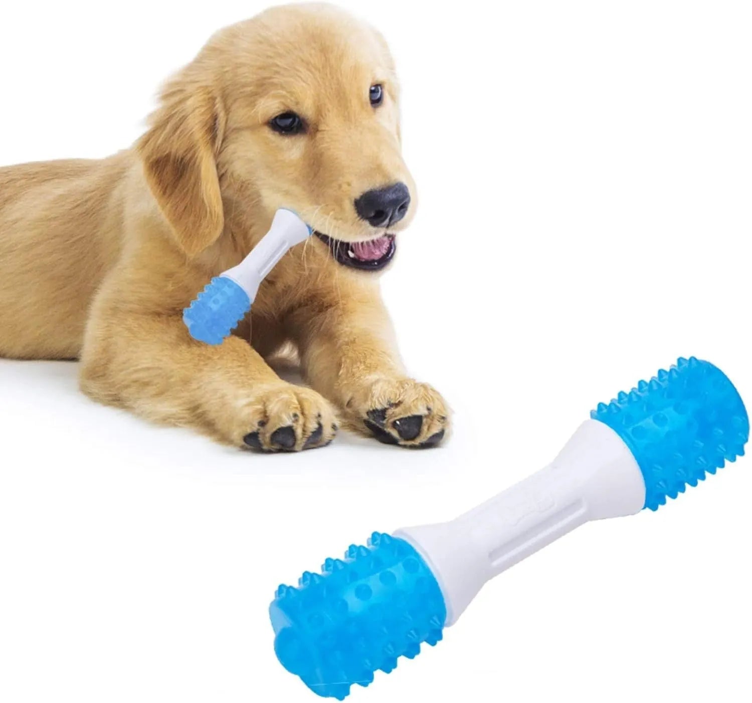 Dual-colour puppy teething chew toy made of TPR rubber for dental health and teething relief