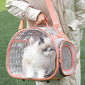 Transparent space capsule cat backpack in hard EVA material showing interior space