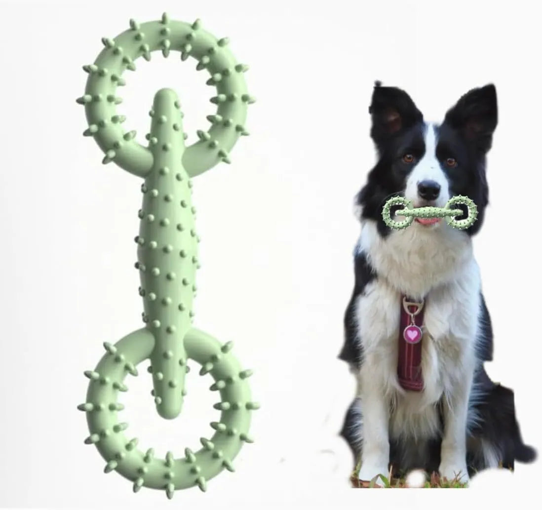 Blue TPR dog chew ring toy measuring 16cm diameter for teething puppies