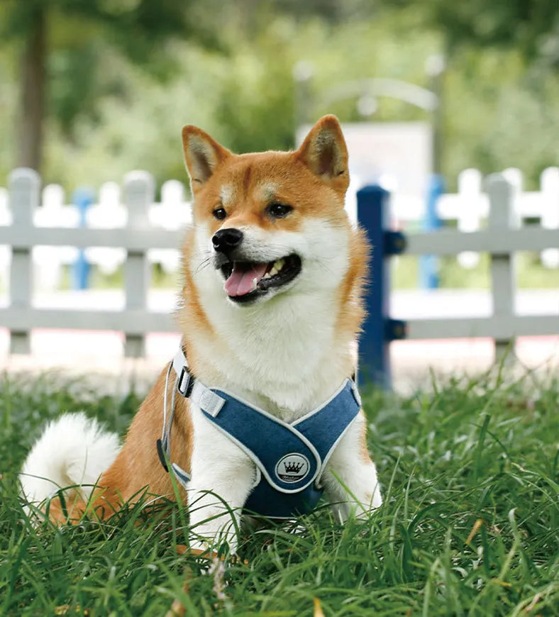 Adjustable dog harness with reflective mesh fabric in multiple colours and sizes