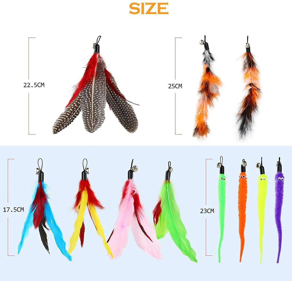 Cat teasing fishing rod set showing two extendable poles and ten feather replacement heads