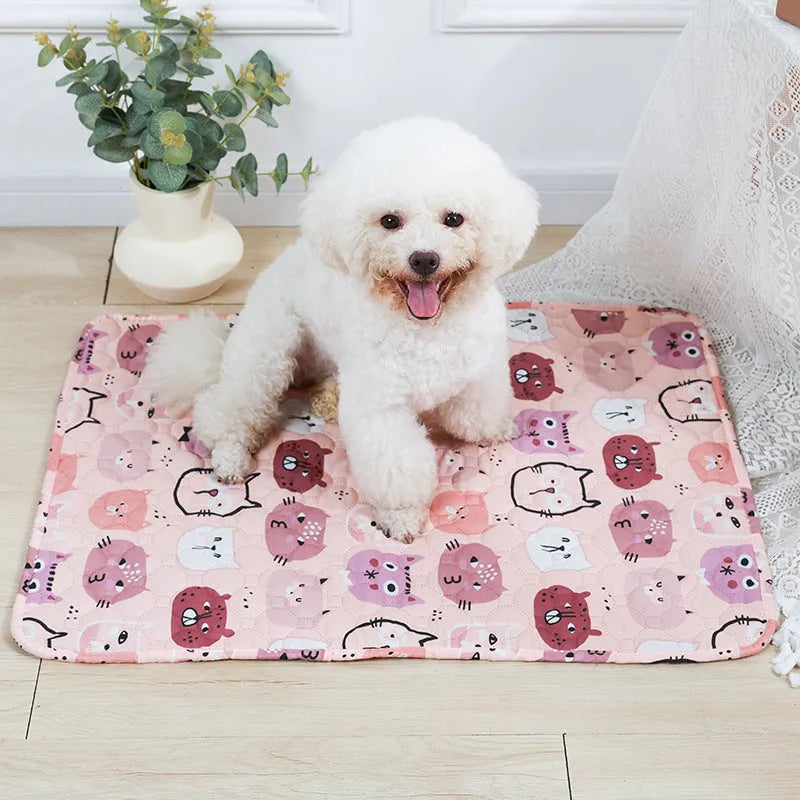 Reusable washable pet urine pad with colourful waterproof gasket patterns and non-slip backing