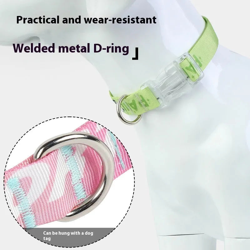 Adjustable nylon dog collar with cartoon gradient pattern in gradient colour and panda green options