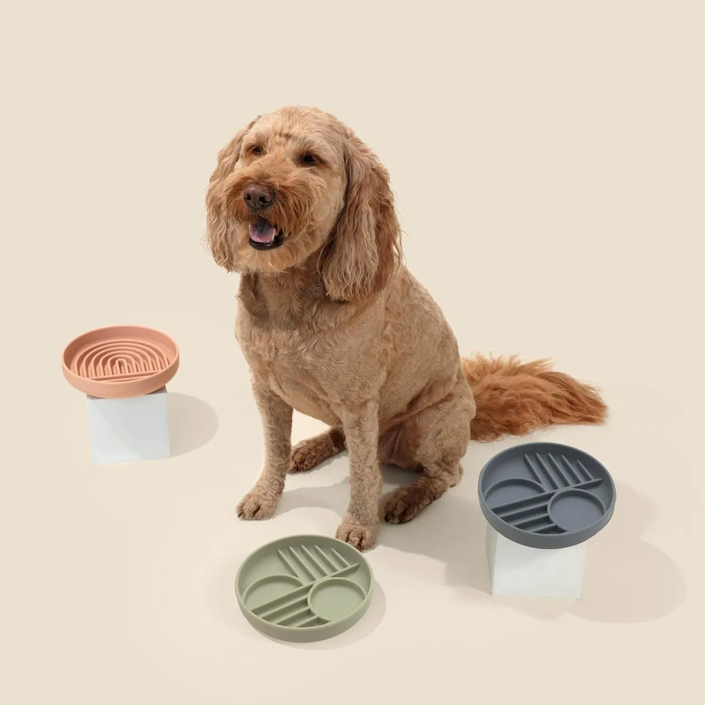 Silicone slow feeder dog bowl with textured ridges, shown in beige colour