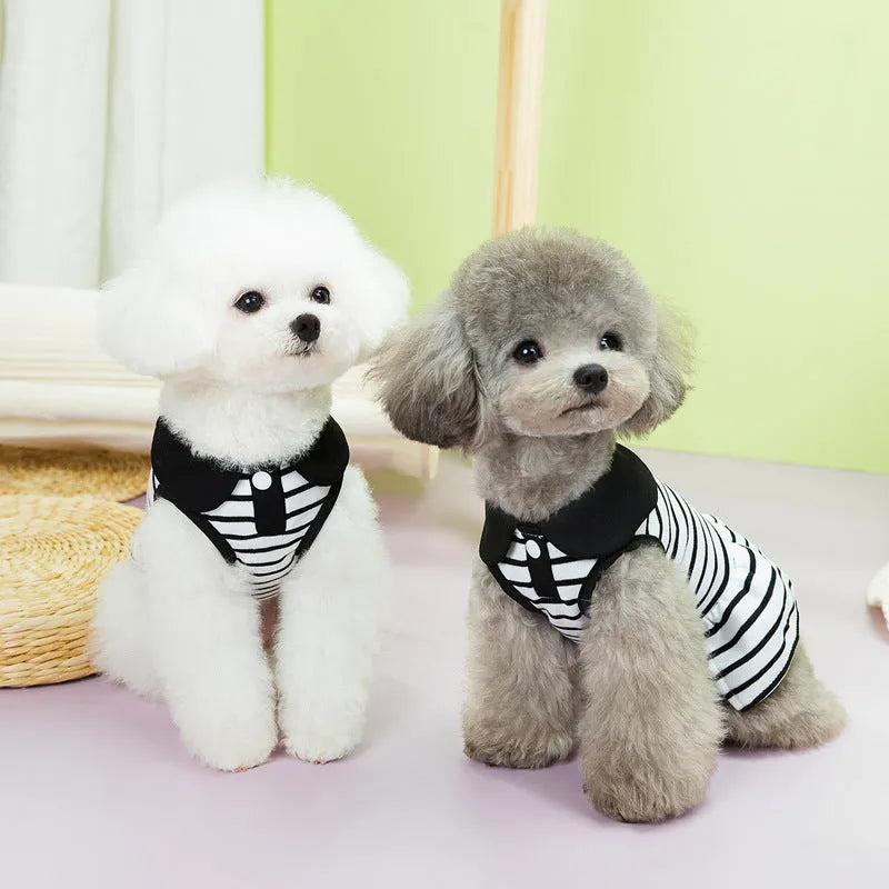 Pet dog wearing cotton t-shirt and striped skirt summer clothing set