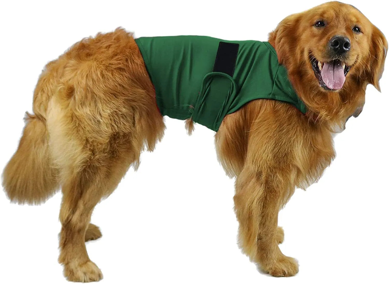 Dog wearing brocade cotton calming tank top in light grey colour for anxiety relief