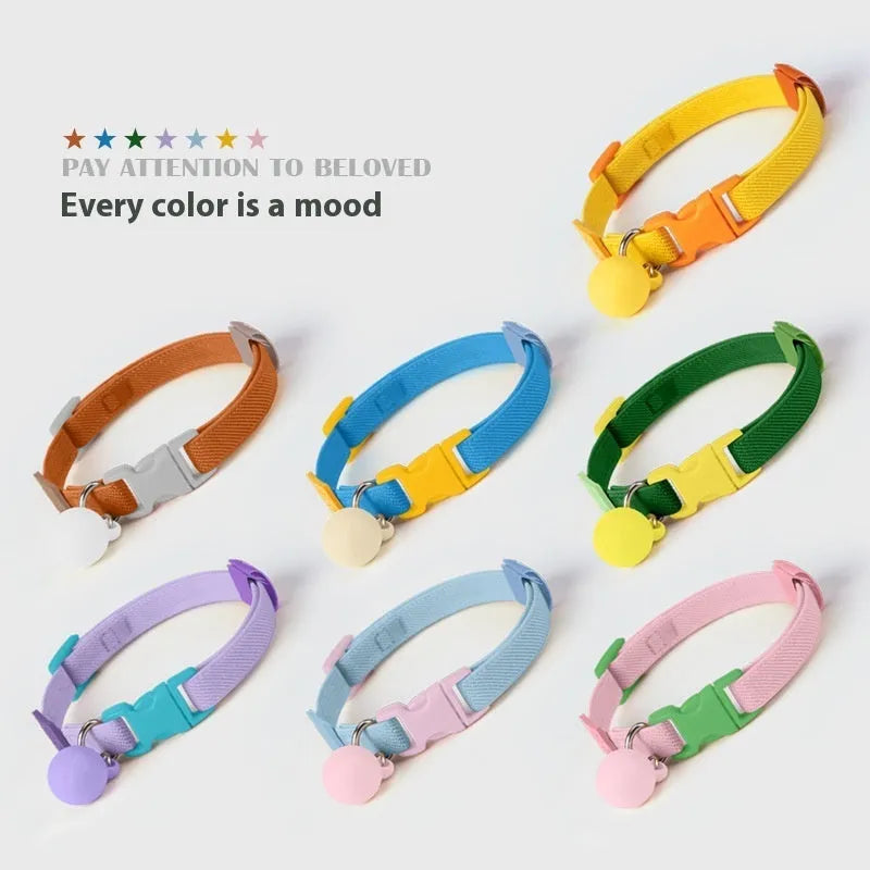 Solid colour elastic polyester dog collar for small breeds, shown in various colours on a white background.