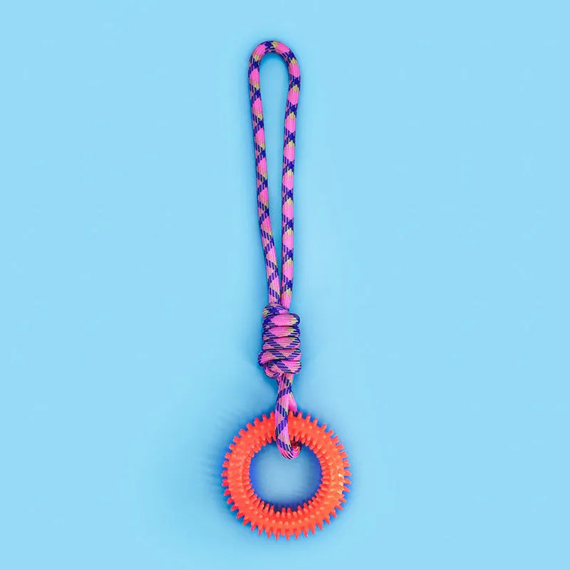 Braided cotton rope dog toy with knotted design in multiple colours, measuring 43cm long