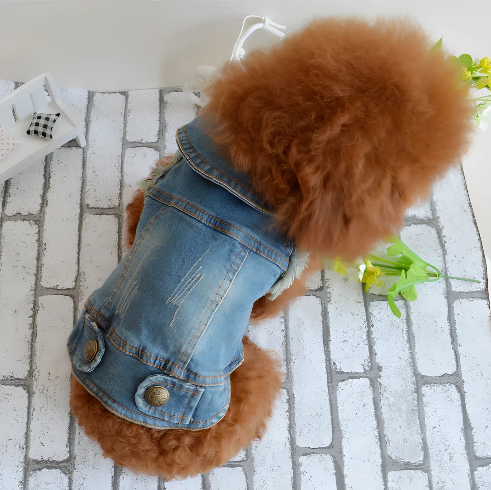 Retro scratch pattern denim dog vest on a model dog, showing dark wash colour and European style cut.