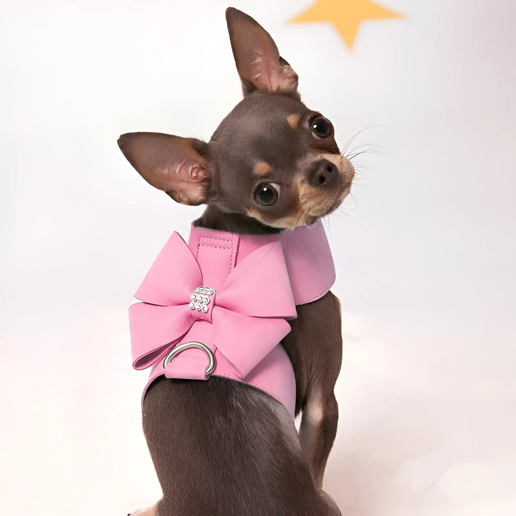 Adjustable microfiber dog chest strap shown in pink, blue, and orange colour options.