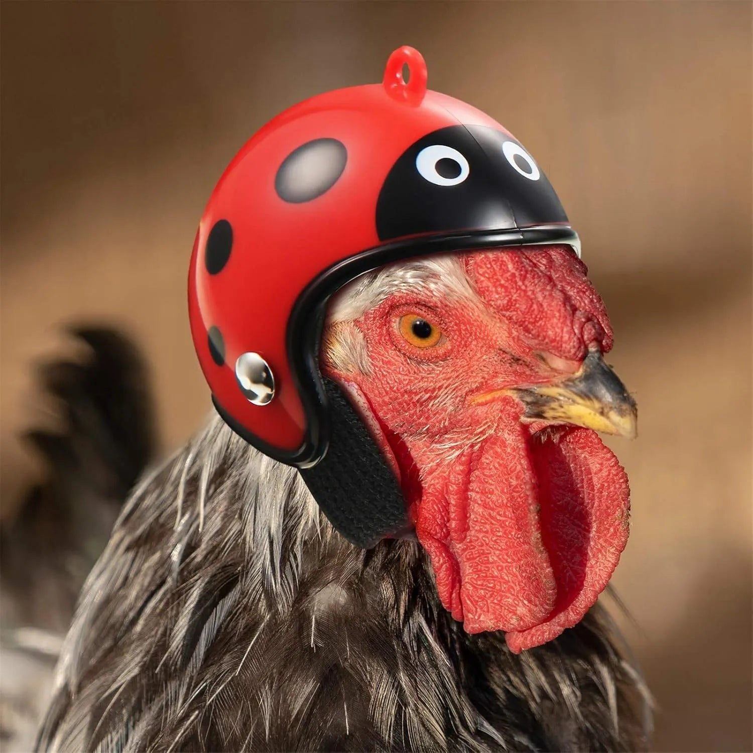 Small adjustable plastic safety helmet for a chicken or bird, shown in a fun design.