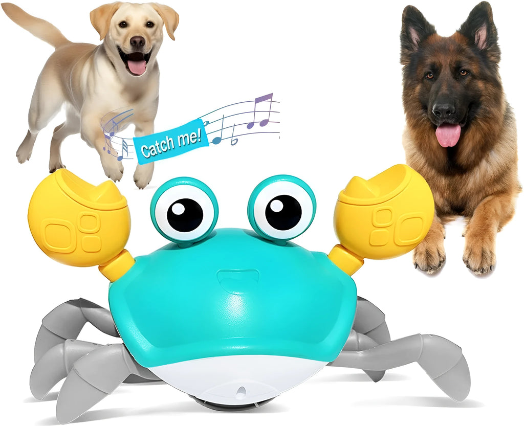 Blue automatic crab dog toy with obstacle avoidance sensor on a flat surface.