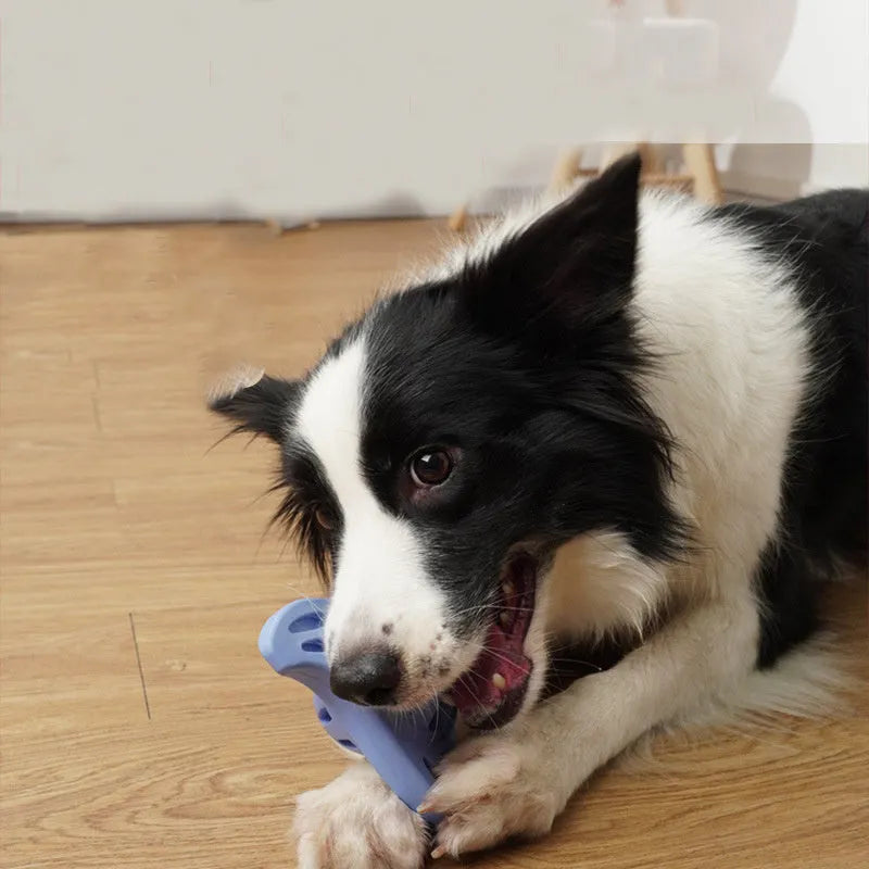 Blue bite-resistant molar boomerang dog chew toy for medium and large breed puppies