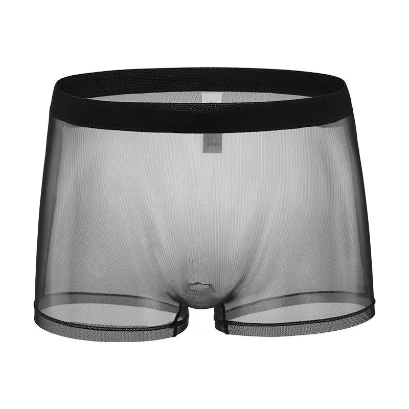 Men's mesh boxer briefs with sheer thin fabric and low waist design in multiple colours