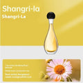 Ultrasonic aroma diffuser with mosquito repellent function in a choice of six scents