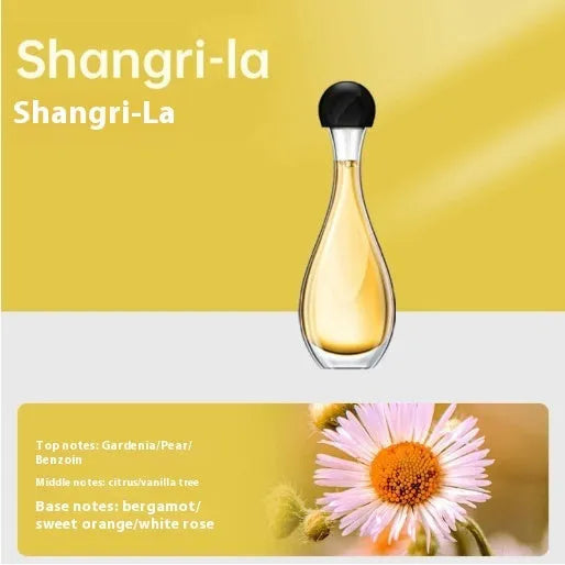 Ultrasonic aroma diffuser with mosquito repellent function in a choice of six scents