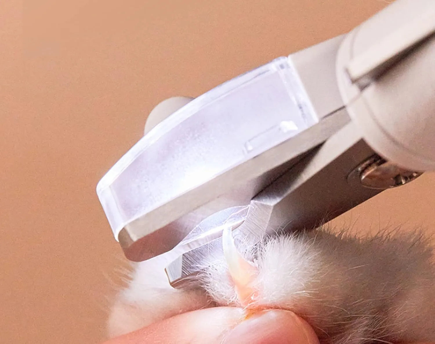 White pet nail clippers with LED light and transparent anti-splash guard for cats and dogs