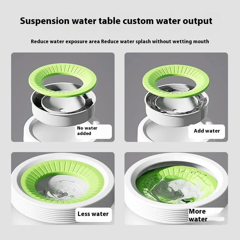 Green raised suspension water bowl for a dog on a white plate