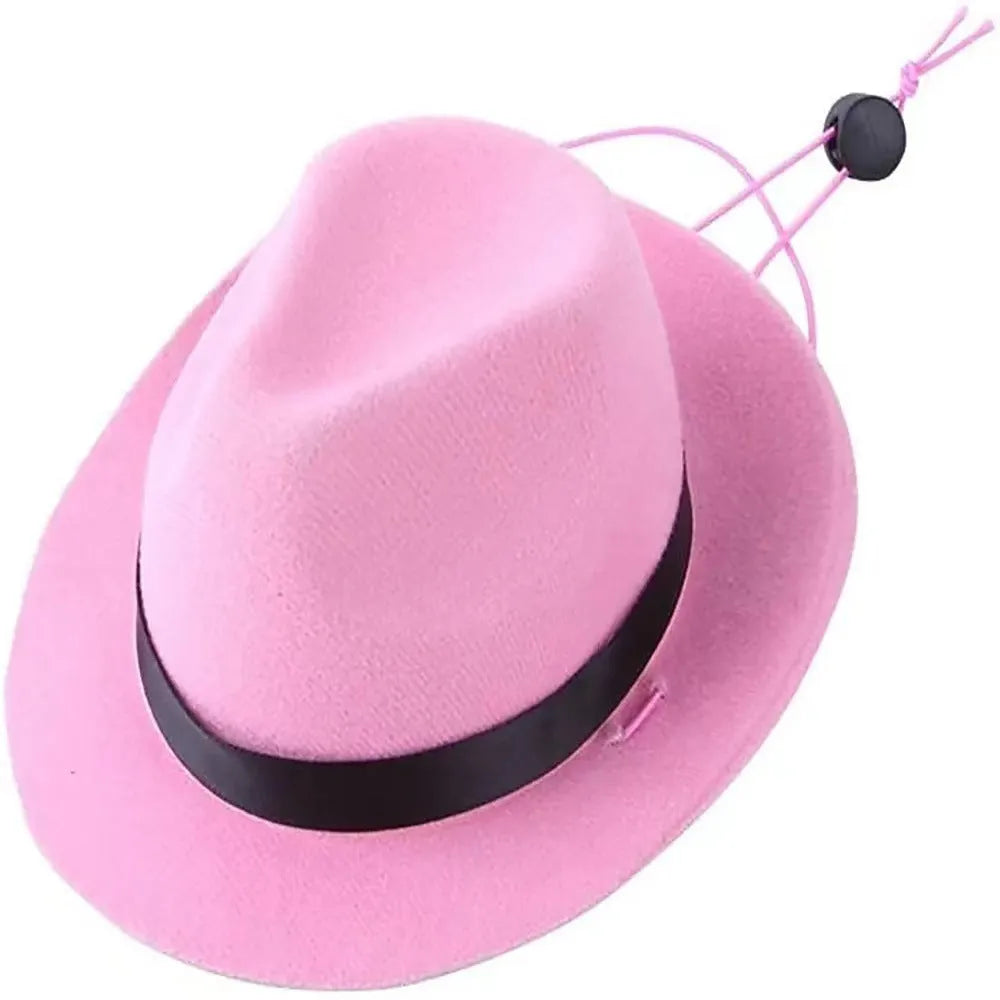 Handmade wool felt mini pet hat for small dogs and cats in S size with 155cm diameter