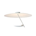 Creative iron art chandelier ceiling lamp with LED warm light in white or white gold finish