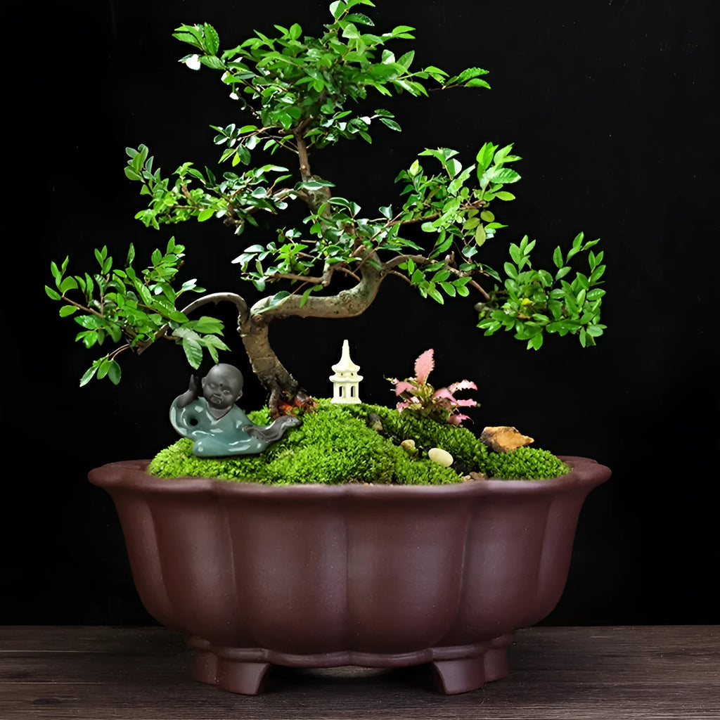 Large purple sand diamond-shaped ceramic flower pot in dark violet for indoor plant display