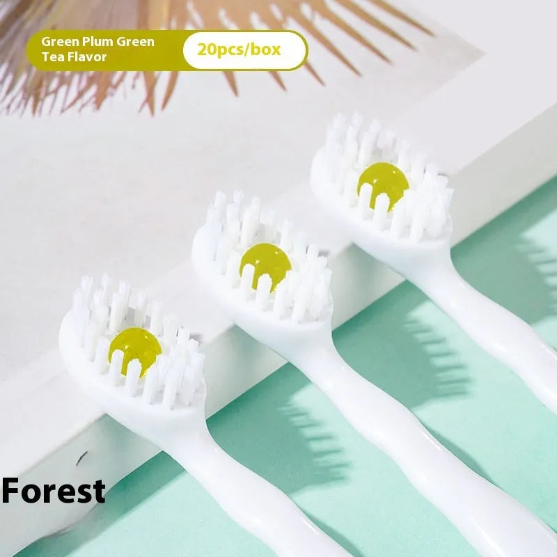 Box containing 20 disposable bead toothbrushes for travel with flavour options