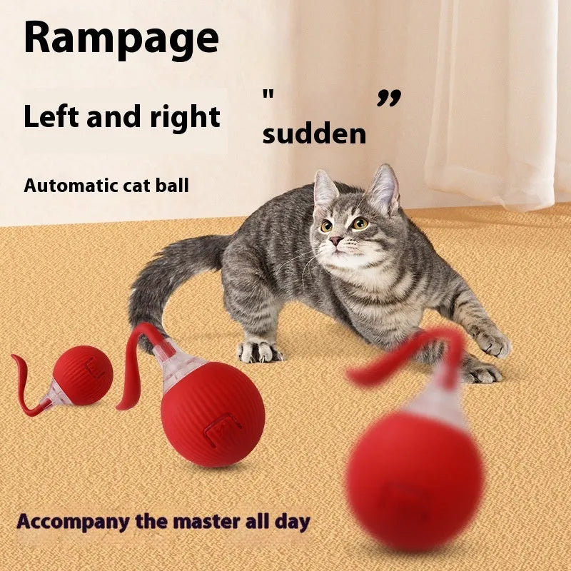 Interactive cat rolling ball toy in grey, green, and red colour options with automatic motion features