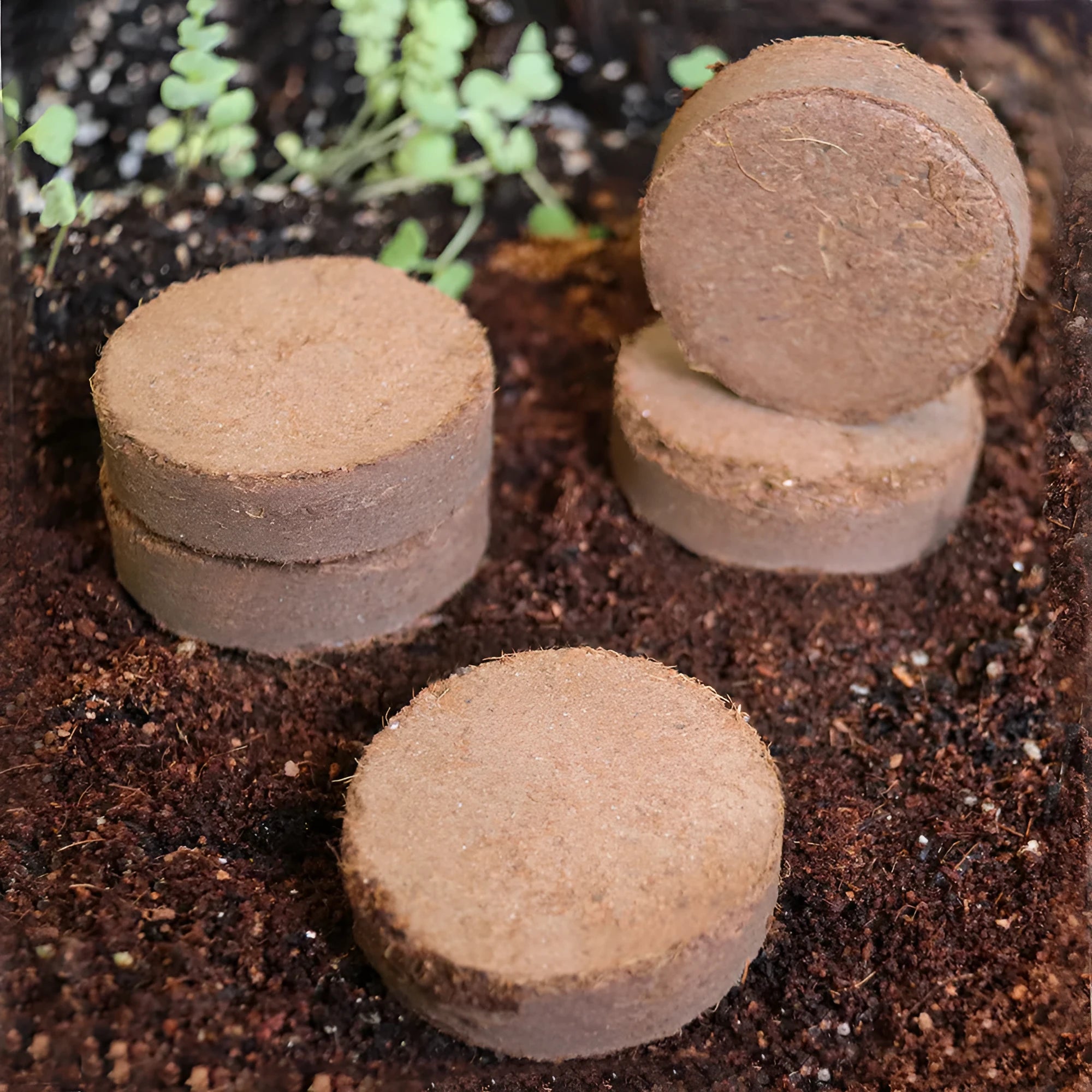 Nutrient soil blocks for vegetable planting in various sizes showing particle texture