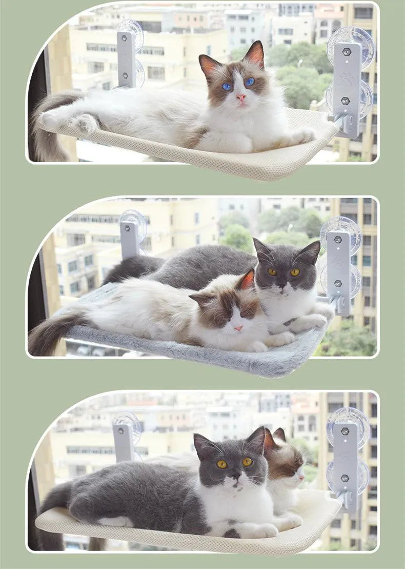 Cat resting on a suction cup window hammock made of plush fabric and steel in beige colour