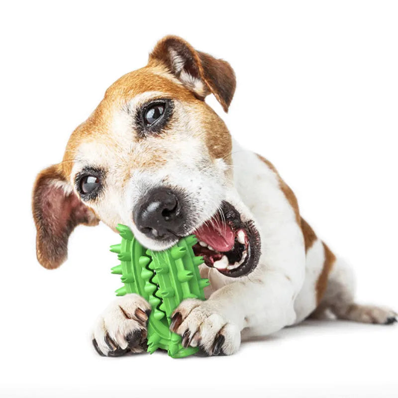 Green or yellow cactus-shaped dog chew toy for dental care, made from durable rubber.