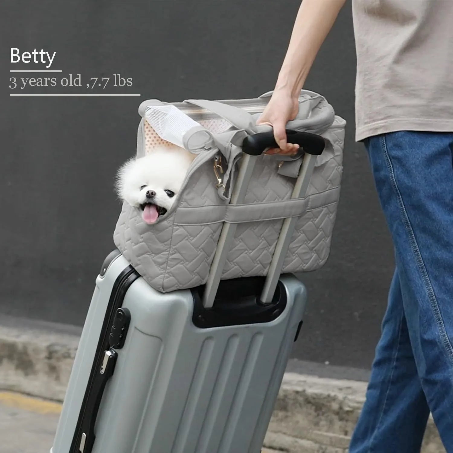 Grey pet carrier handbag with mesh side panels and multiple pockets for a small dog