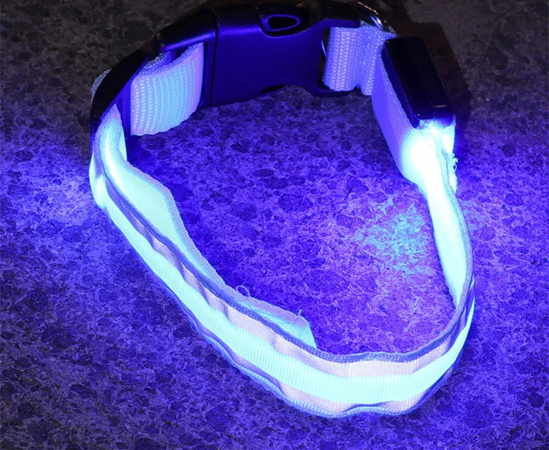 Anti-lost LED luminous dog collar on dog, nylon webbing, monochrome pattern