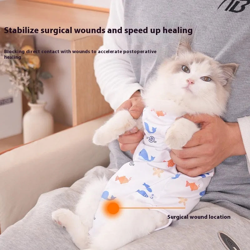 Cat wearing a patterned post-surgery recovery suit with Velcro fastenings on the back.