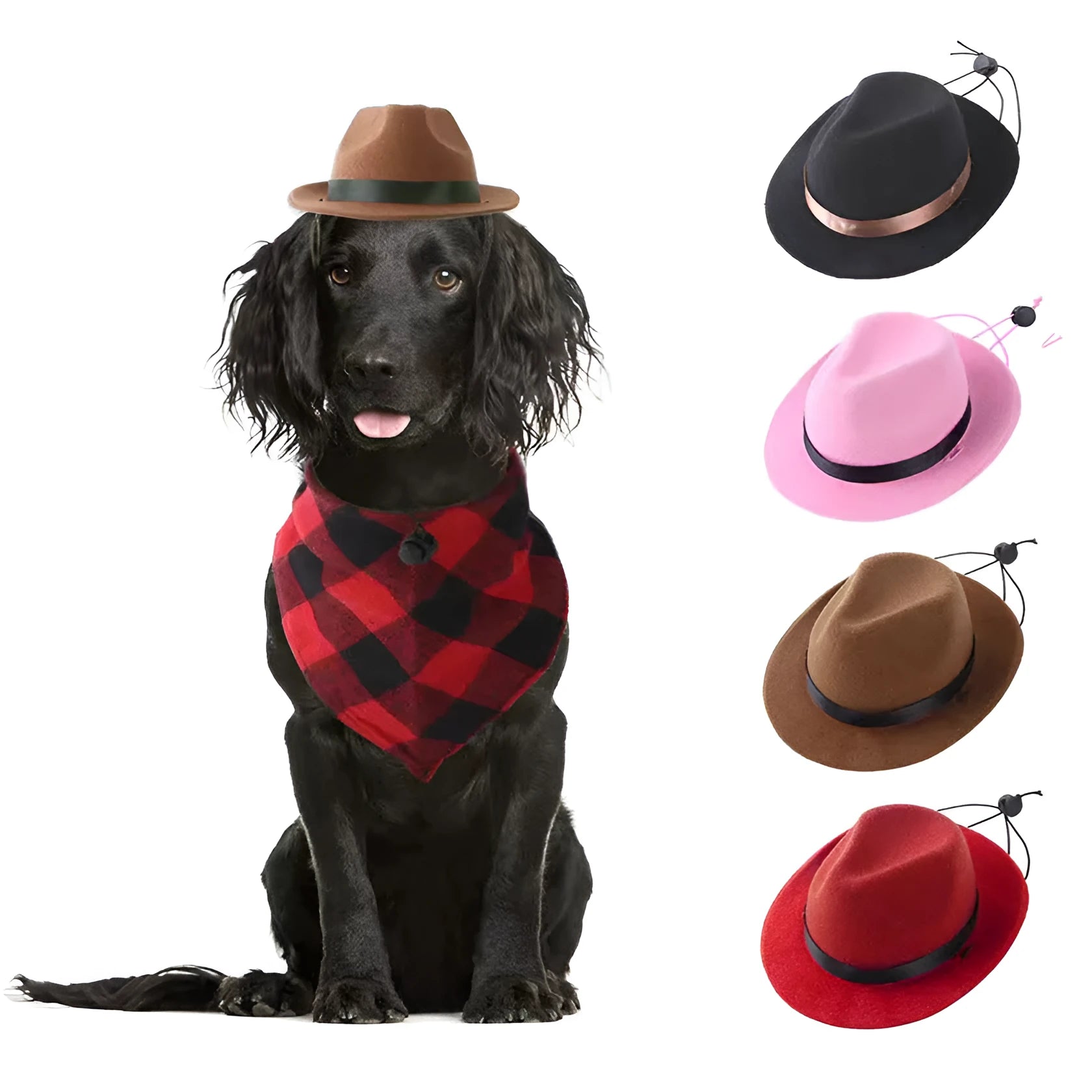 Handmade wool felt mini pet hat for small dogs and cats in S size with 155cm diameter