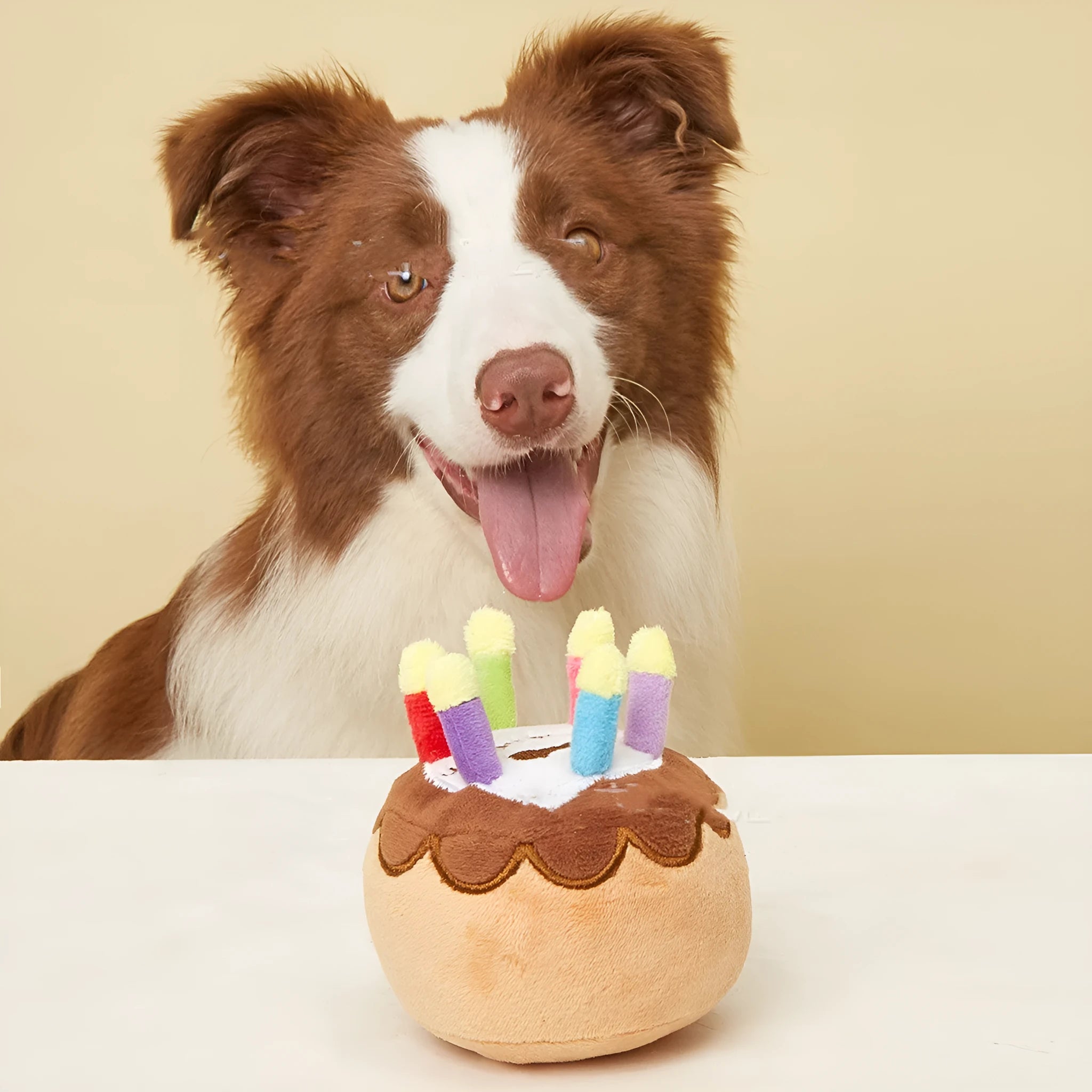Brown plush pet birthday cake toy with candle, 40g, for dogs and cats