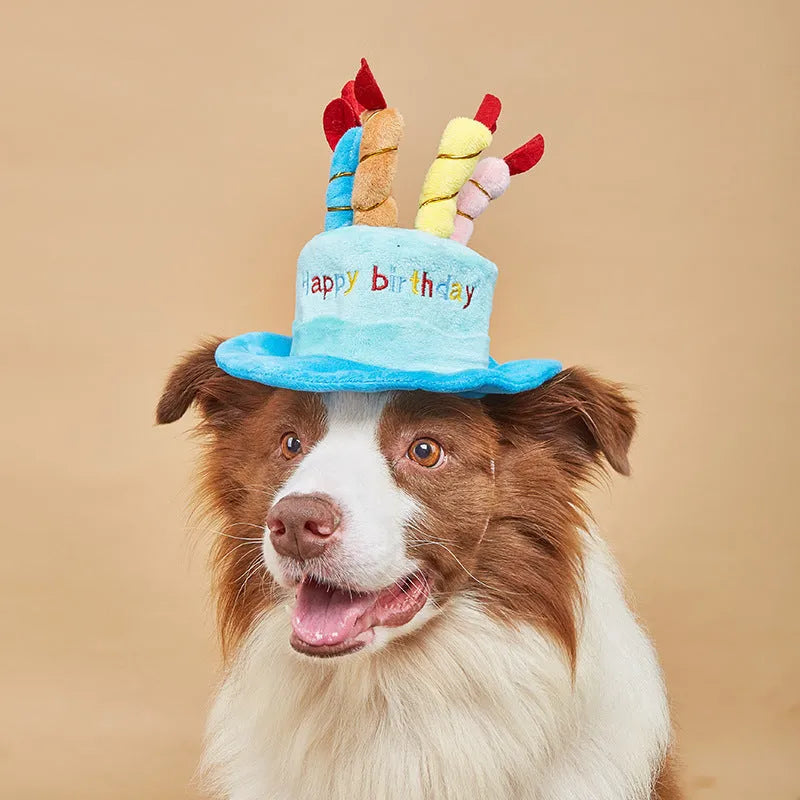 Blue dog-shaped birthday hat for small to medium dogs on a white background.