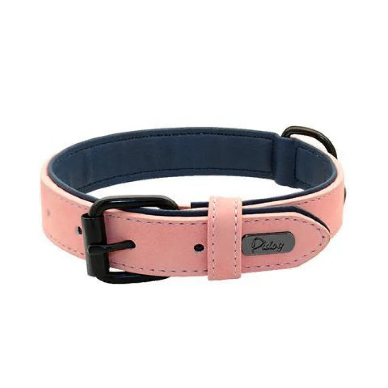 Adjustable dog collar in purple with anti-loss design and durable double-layer construction