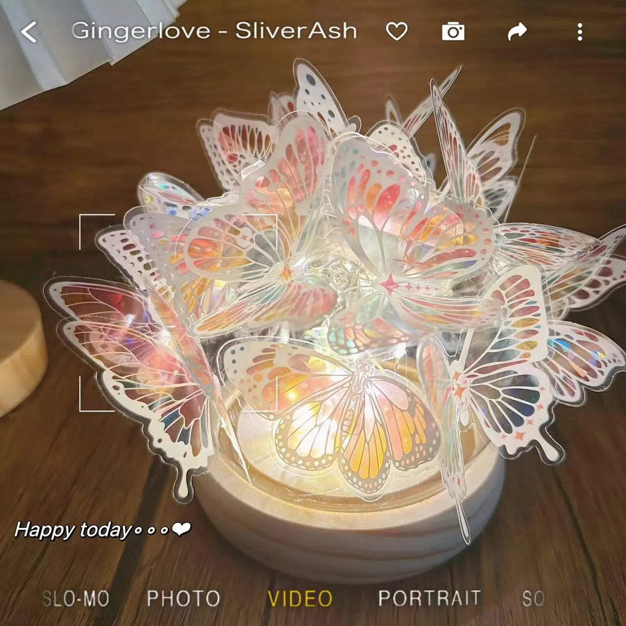 Butterfly night lamp DIY material package with glass lampshade and raw wood base measuring 12x15 cm
