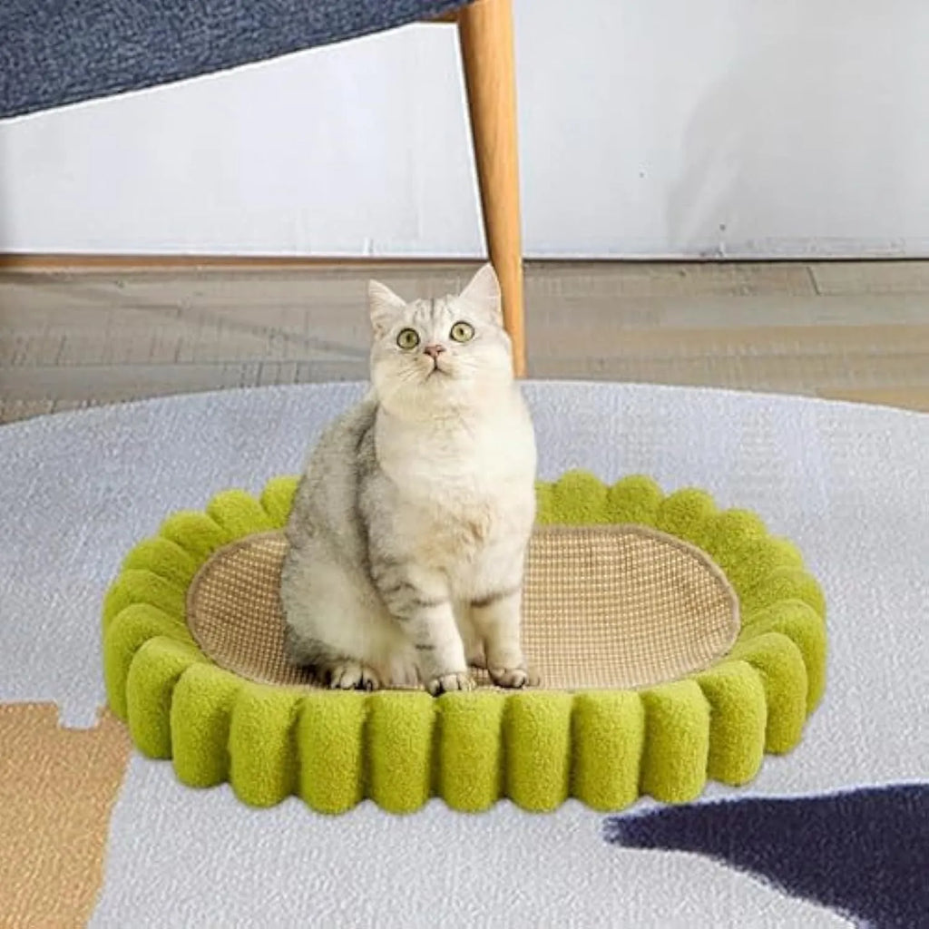 Green oval sisal cat scratching pad that also serves as a cat bed.