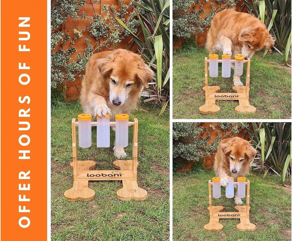 Wooden interactive dog puzzle feeder with treat compartments measuring 31cm long