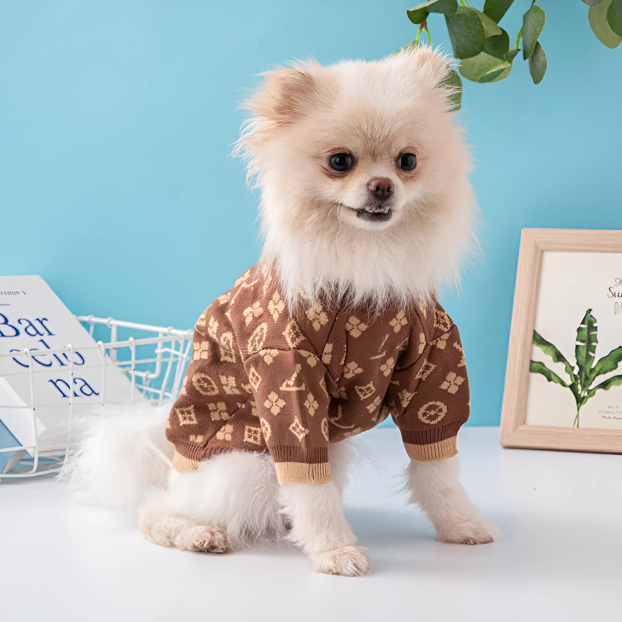 Wool pet dog sweater in European American style for autumn and winter wear