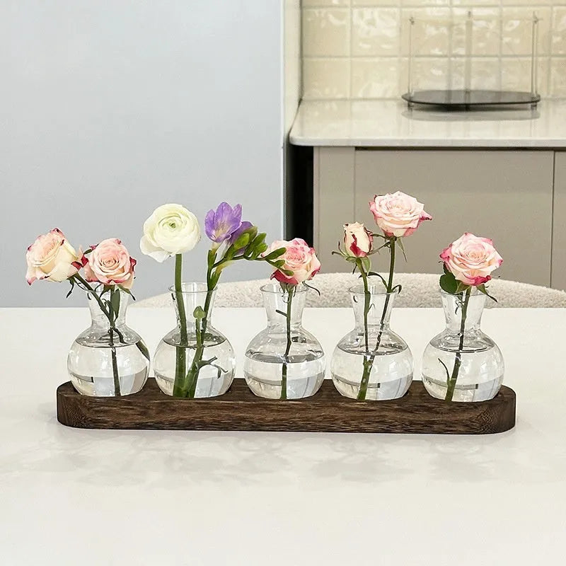 Transparent hydroponic vases in wooden frame holder for plant propagation