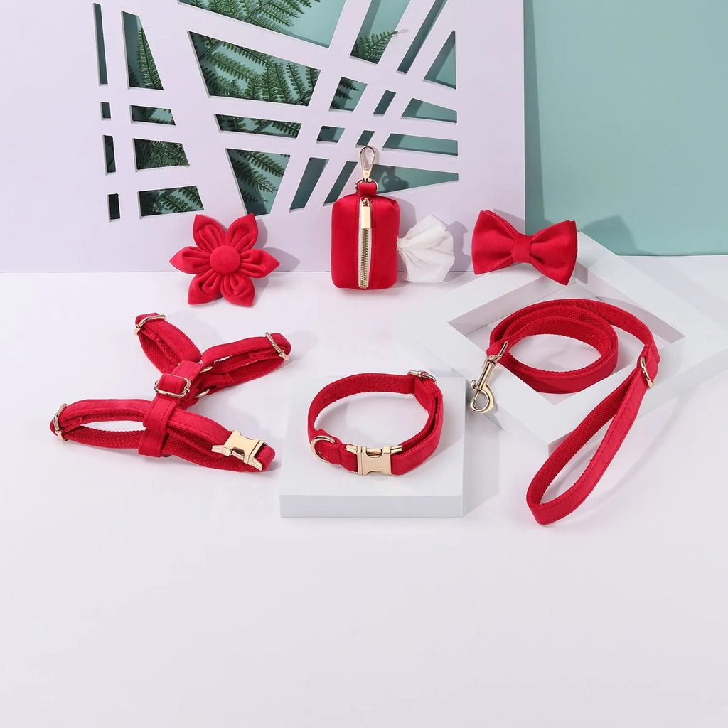 Classic velvet dog collar and matching traction rope set with bow tie and flower decoration.