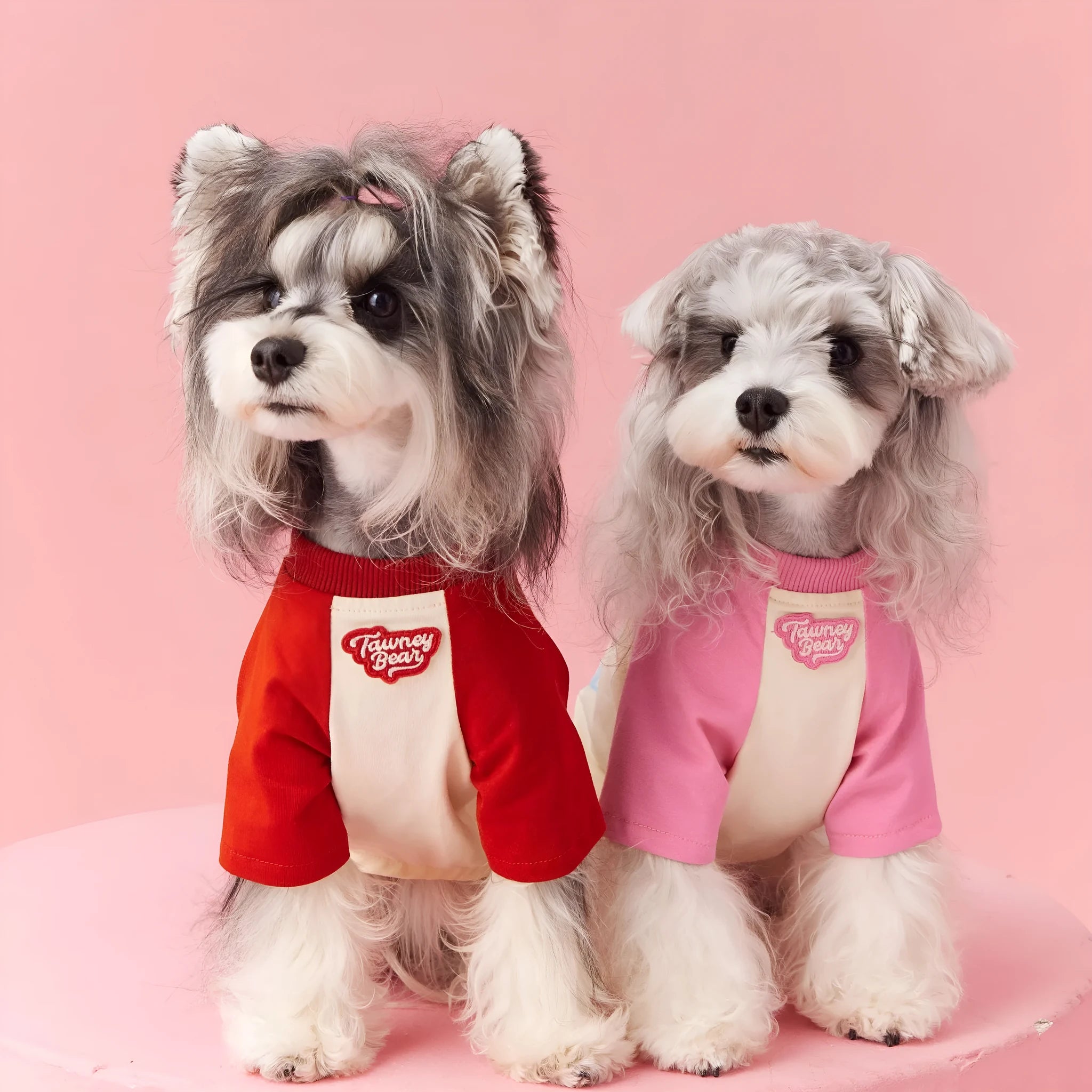 Red cotton dog t-shirt for summer on a small dog