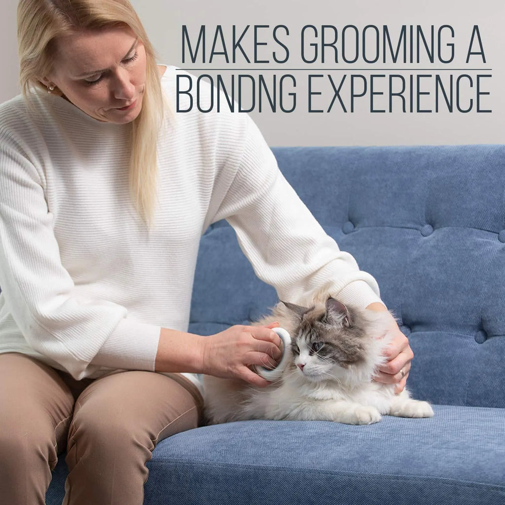 Blue pet grooming comb with soft teeth for cats and dogs on white background