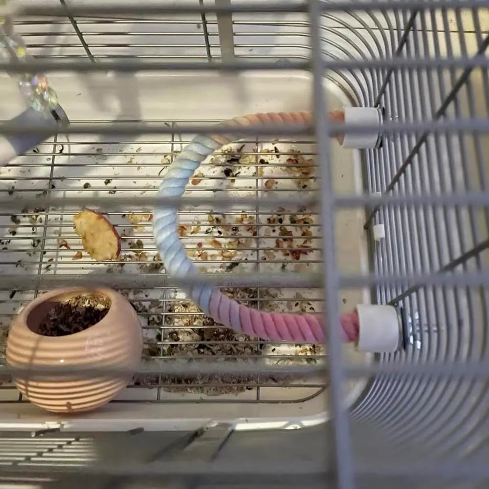 Gradient colour bird rope perch with U-shape and circular swing on a cage
